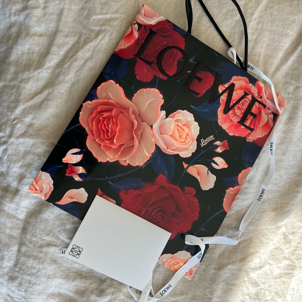LOEWE Large Gift Bag